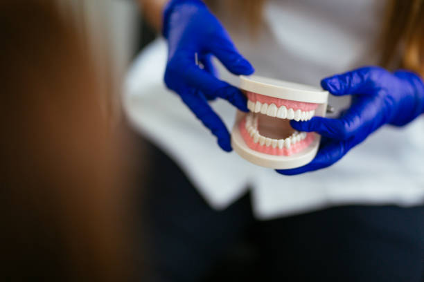 Clifton Gardens, NY Dental Services Company